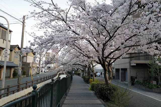 疏水百選 - Image 1