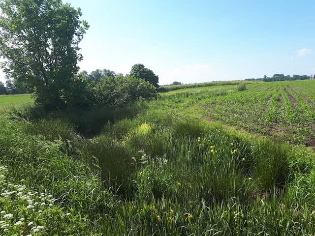 Zum ewigen Meer - Image 1