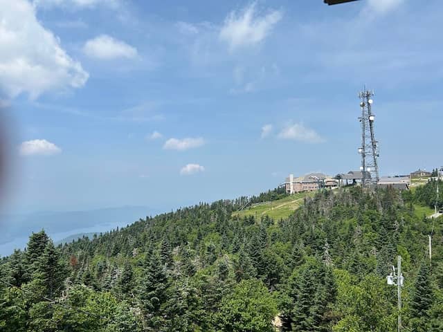 Ziptrek Ecotours platform 2 - Image 2