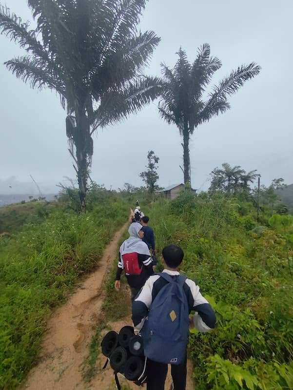 TOR HASIBUAN - Image 1