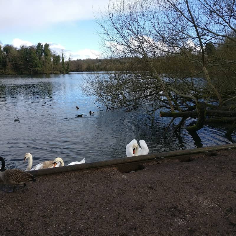 Stocker's Lake Nature Reserve - Image 2
