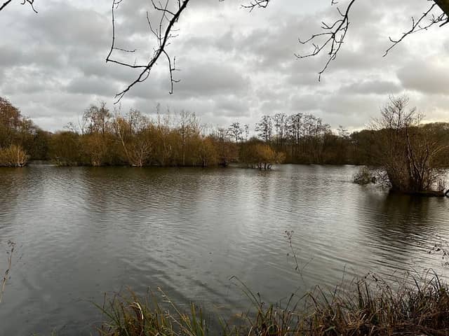 Stocker's Lake Nature Reserve - Image 3