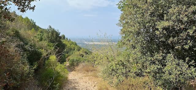 Punto panoramico belvedere - Image 1