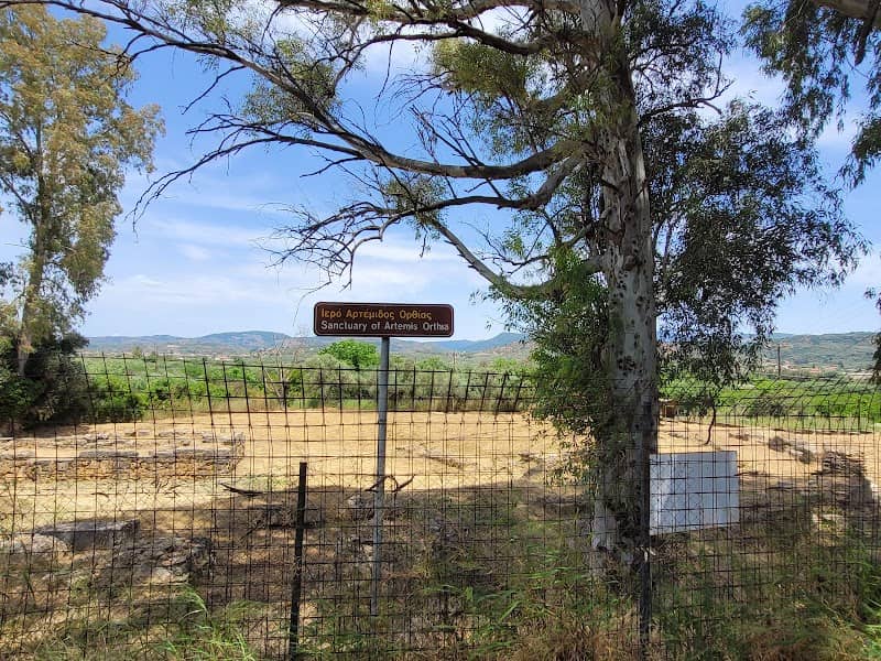 Sanctuary of Artemis Orthia - Image 2