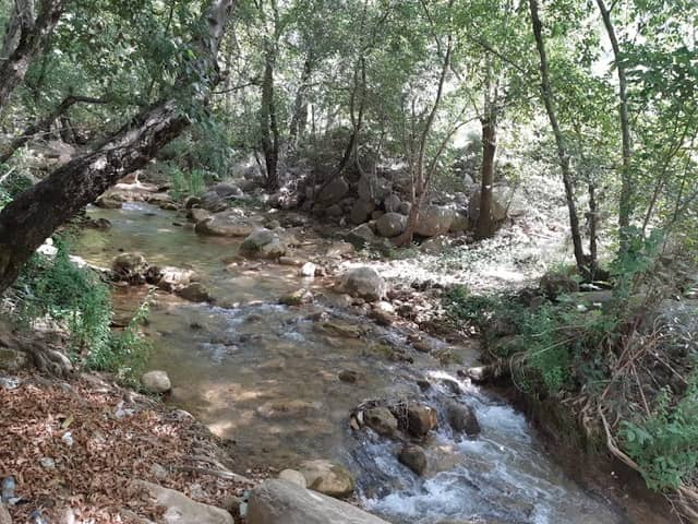 Jezzine Garden - Image 1