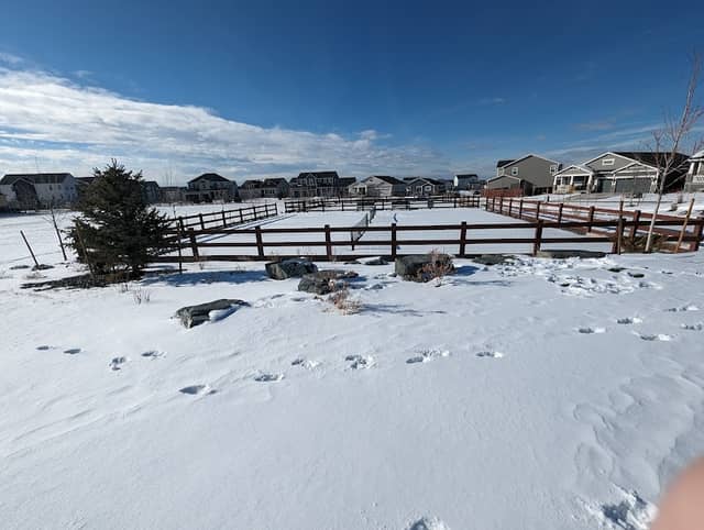 Picnic Park - Image 1
