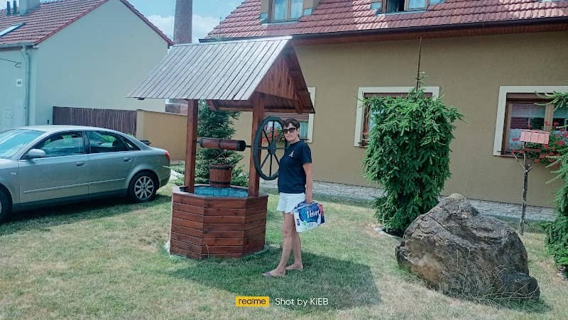 Čapí komín Uherský Brod - Image 1