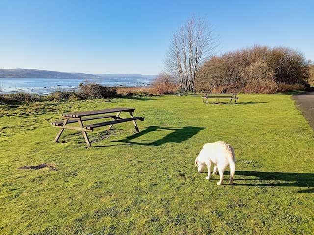 Clyde Viewpoint - Image 2