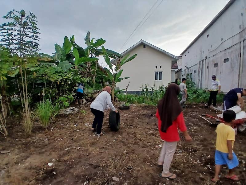 Mini kebun rahmat - Image 1