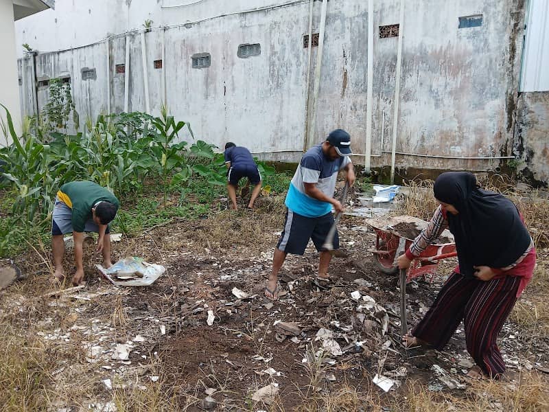 Mini kebun rahmat - Image 2
