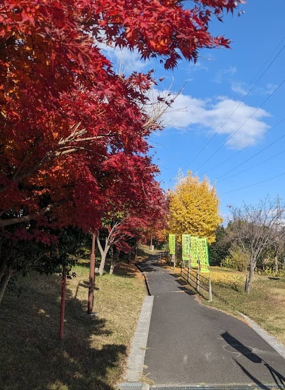 花の道 - Image 2