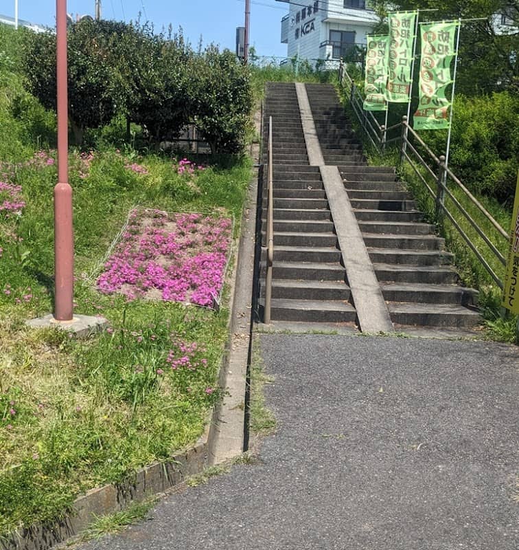 花の道 - Image 1