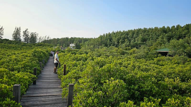 Pak Nam Prasae Mangrove Forest - Image 1