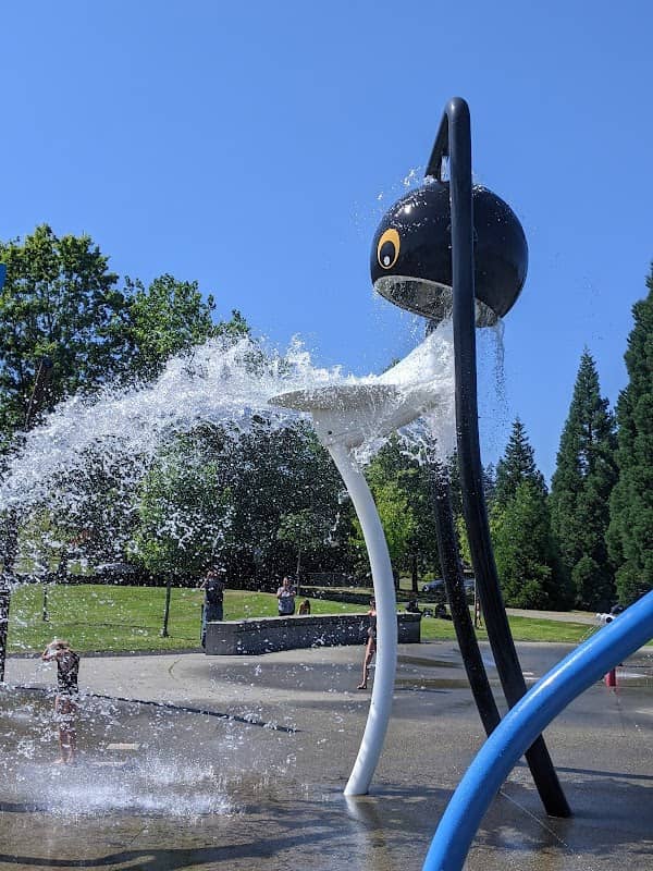 Willow Point Splash - Image 2