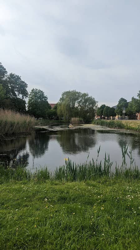 Sitzbank am Dorfteich - Image 1
