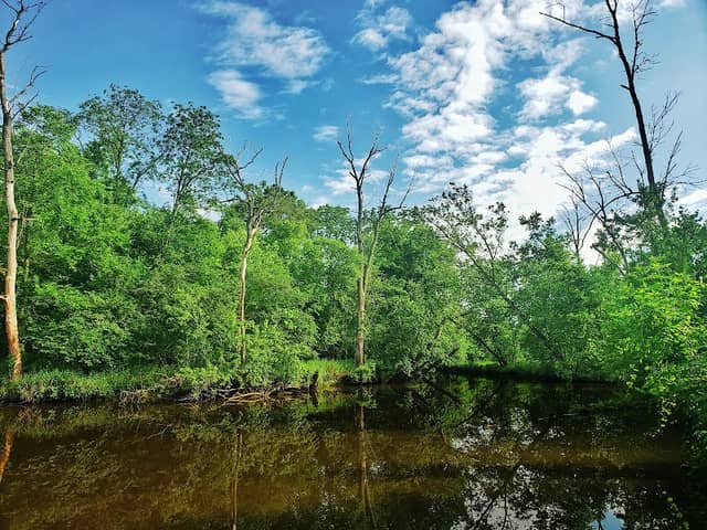 Gilliom-Cherp Nature Park - Image 2