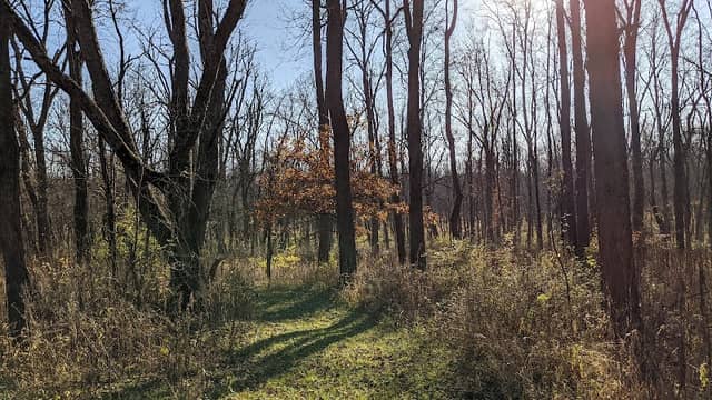 Gilliom-Cherp Nature Park - Image 1