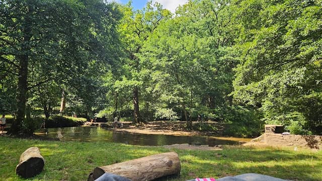 Wenchford Picnic Area - Image 2