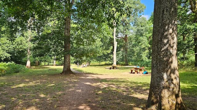 Wenchford Picnic Area - Image 1