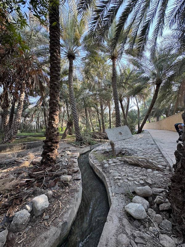 Wadi al maawil parking side - Image 1