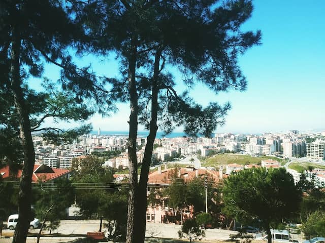 Salih Omurtak Parkı - Image 1