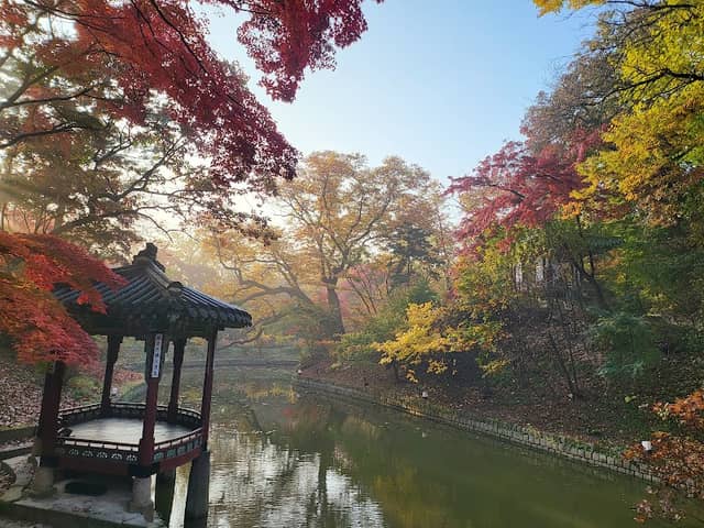 Changdeokgung Secret Garden - Image 3