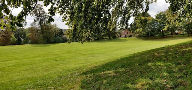 Ely Castle Mound - Image 2