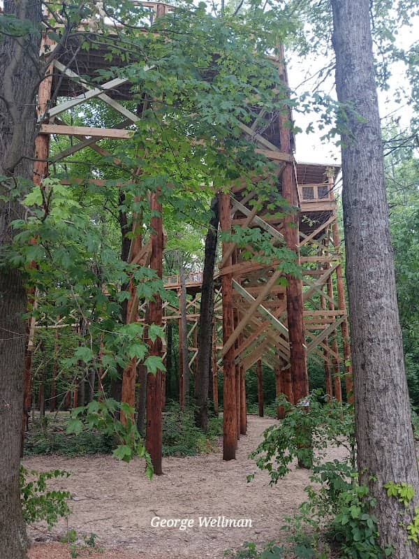Ash Grove Picnic Area - Image 1