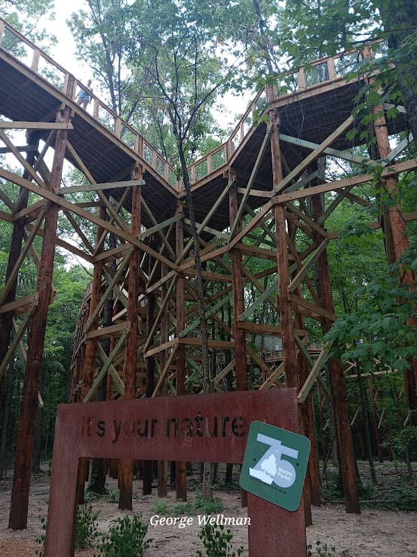 Ash Grove Picnic Area - Image 2