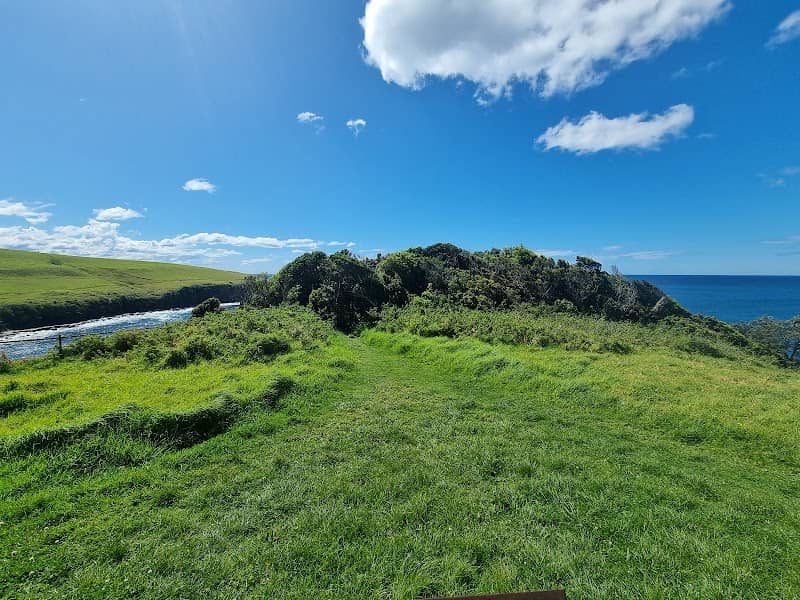 Gerringong to Kiama Coastal Walk - Image 3