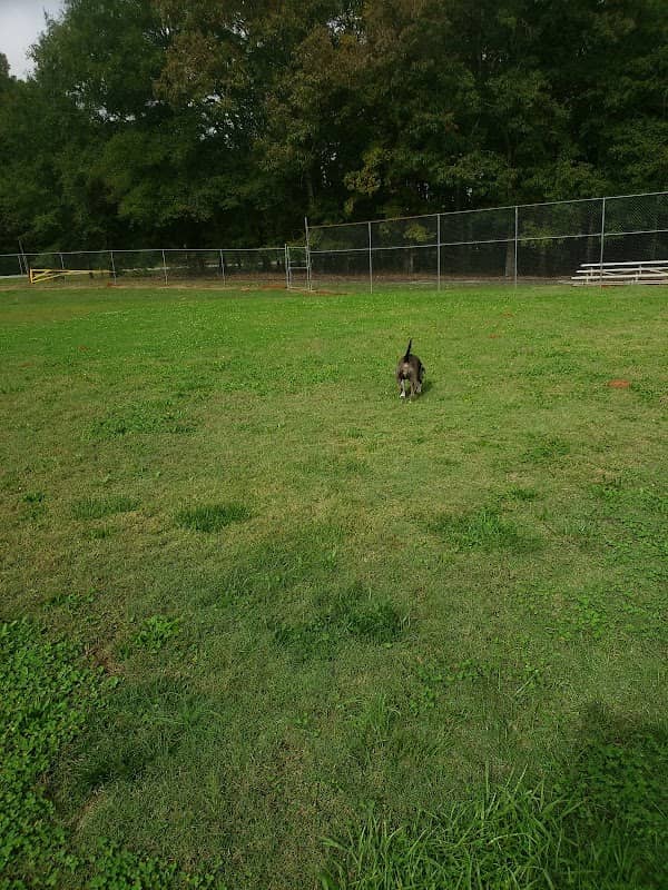 Norris Community Park - Image 1