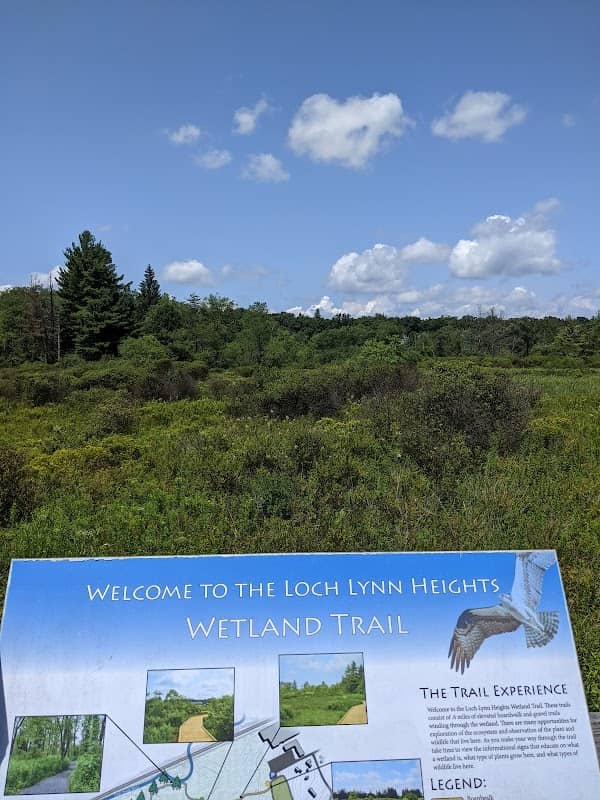 Loch Lynn Heights Wetlands Trail - Image 2
