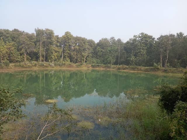 Nanda Bhauju Taal, Chilhiya Jungle - Image 1