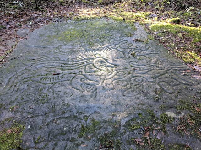 Petroglyph Provincial Park - Image 2