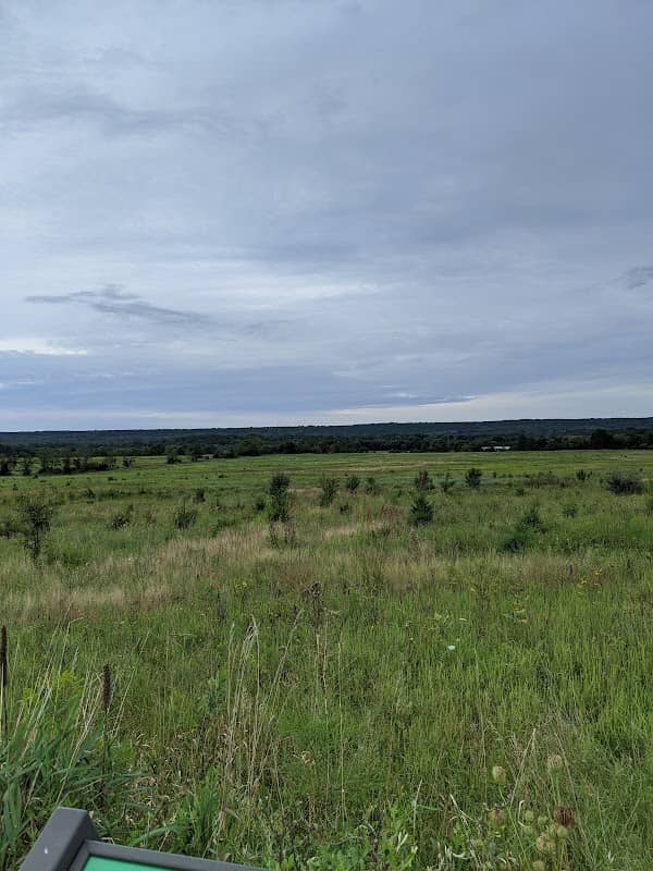 Cider Mill Grassland Preserve - Image 1