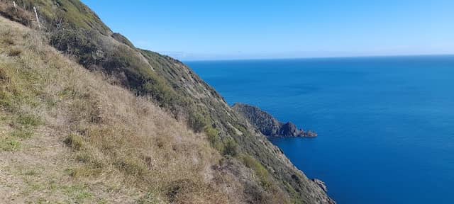 Western Lookout - Image 1