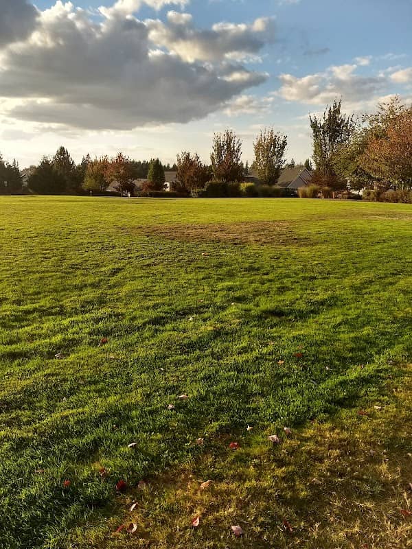 Cascadia Park - Image 2
