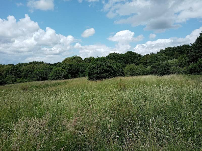 Weston Woods - Image 1