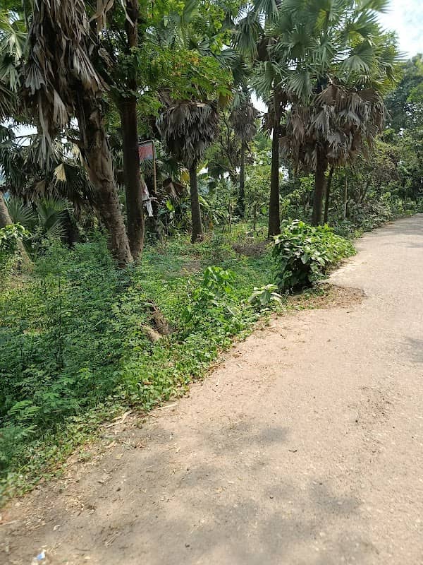 কাইচাবাড়ি লেক ভিউ - Image 1