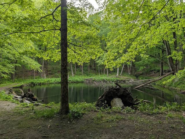 Kennedy Park - Image 2