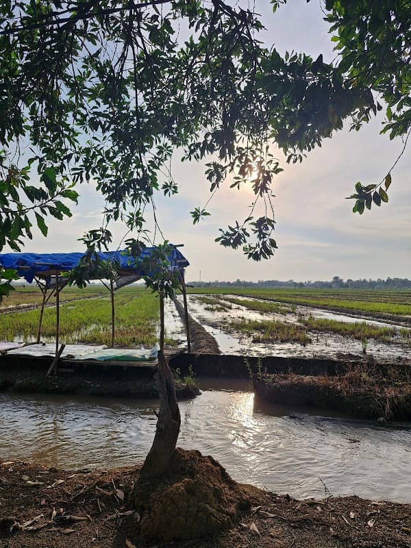 Wisata alam irigasi sawah - Image 1