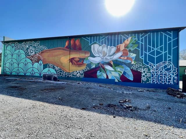 Waves of Lace Mural - Image 2