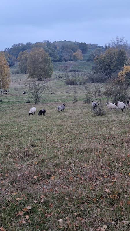 Naturpfad am Hahneberg - Image 2