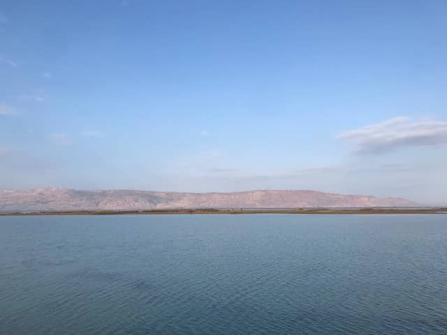 Chashma Barrage Dolphin Sanctuary - Image 1