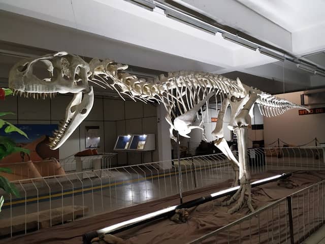 Science Museum of San Carlos "Prof. Mário Tolentino" - Image 1