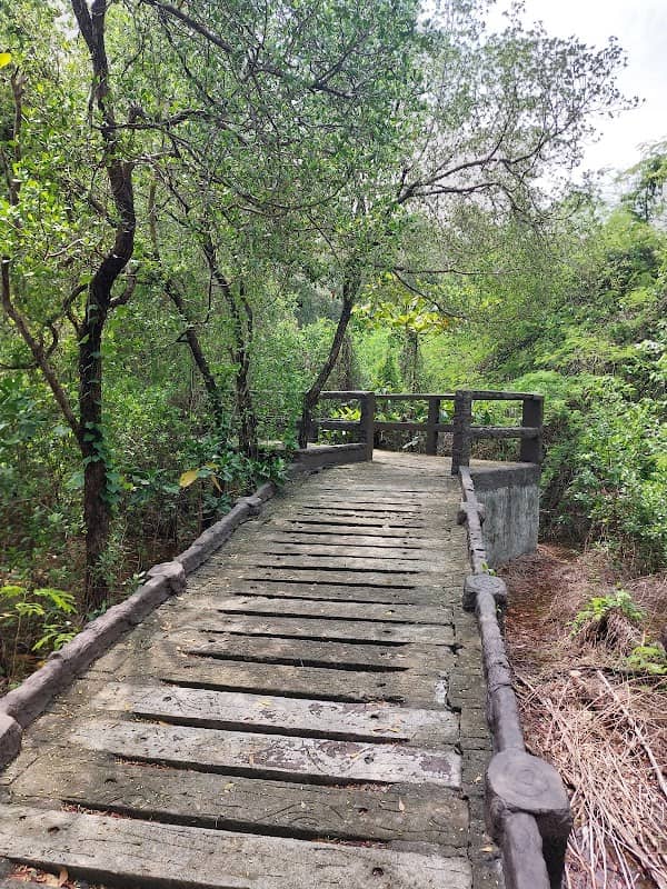 Las Piñas-Parañaque Wetland Park - Image 1