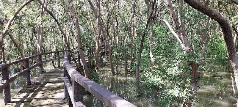Las Piñas-Parañaque Wetland Park - Image 2