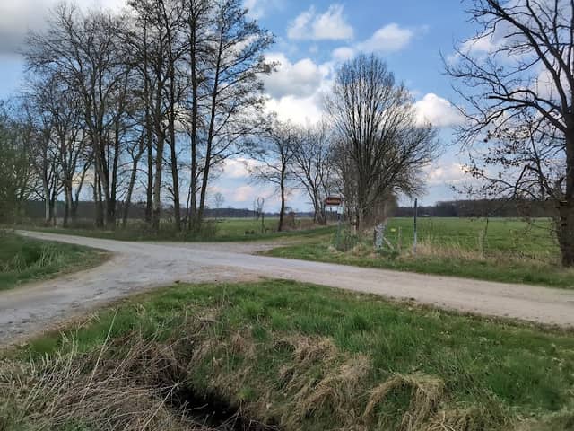 Schweimker Moor und Lüderbruch - Image 1