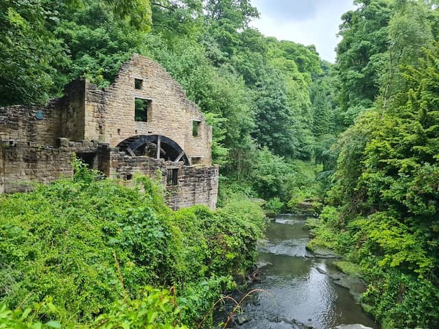 Jesmond Dene - Image 2