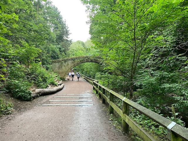 Jesmond Dene - Image 3